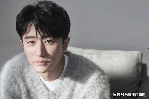 甘肃男明星网红,崛起的西部之光