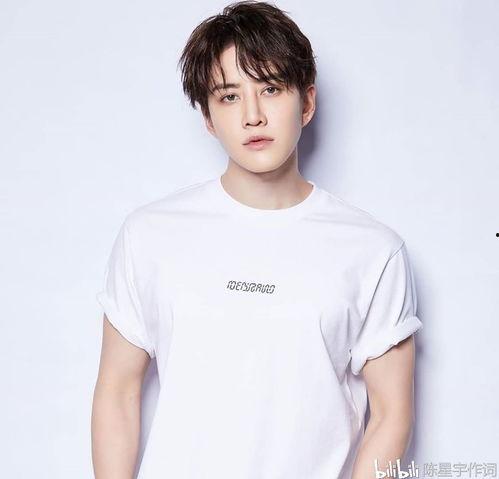 甘肃男明星网红,崛起的西部之光