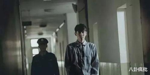 八点娱乐圈吃瓜视频大全,揭秘热门事件，尽览八卦风云