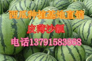 今日民权瓜价,瓜果飘香，价格波动引关注