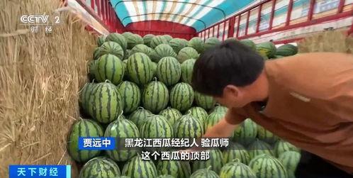 吾爱吃瓜今日,揭秘娱乐圈那些不为人知的幕后故事