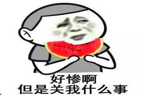全娱乐圈听我心声吃瓜禾礼,禾礼成瓜王，全娱乐圈听我心声