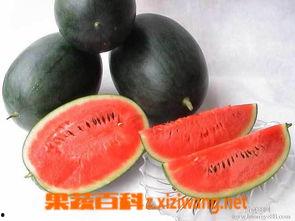 网红黑料吃瓜视频软件大全,吃瓜视频软件大盘点