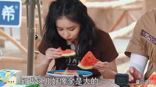 陆柯燃吃瓜爆料,吃瓜爆料背后的真相