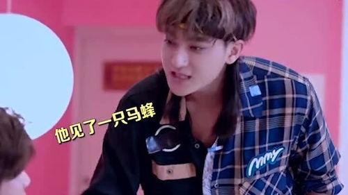 吃瓜爆料黄子韬,娱乐圈的瓜田，他的故事与争议