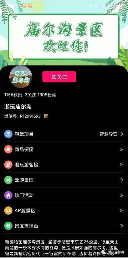 吃瓜网站免费热门,免费畅享娱乐盛宴