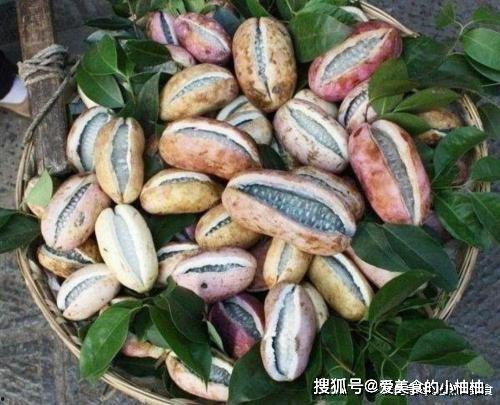 八月瓜黑籽可以吃不,天然美味，营养丰富的健康食品