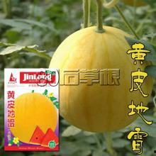 往期热门旧瓜,那些年我们错过的精彩瞬间