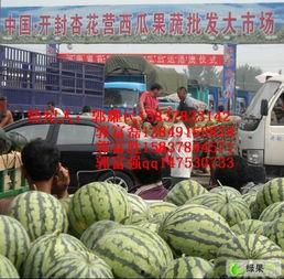 开封瓜今日价格,价格行情一览”