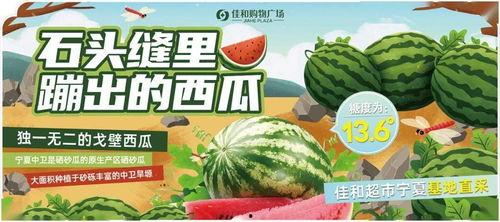 51热门大瓜今日大瓜网,今日大瓜网独家揭秘娱乐圈最新热点