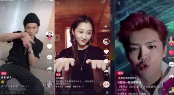 明星网红视频在线,潮流趋势与生活态度的完美融合