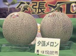今日蜜瓜价格,甜蜜来袭，实惠之选！