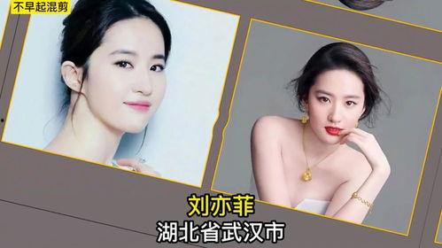 假装明星网红国外,揭秘明星在国外的生活幕后