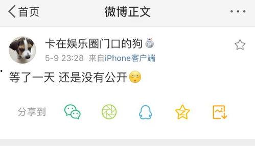 最新吃瓜爆料在线地址,在线地址大曝光！