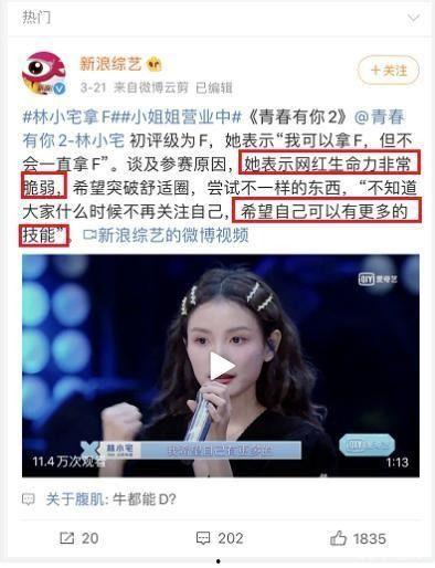 热搜明星网红,热搜明星网红的崛起与影响力解析