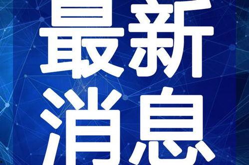 保定吃瓜最新爆料视频,最新爆料视频揭秘惊人内幕