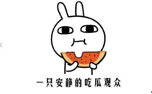 吃瓜网热门事件今日吃瓜,吃瓜网热门事件，揭秘娱乐圈最新八卦风云