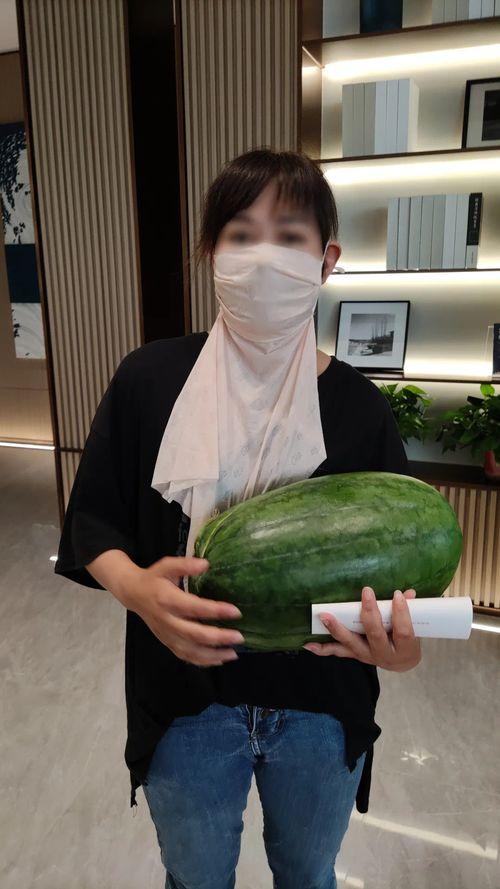 程女士热门大瓜,揭秘娱乐圈热门大瓜背后的真相