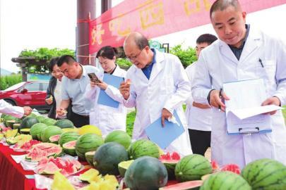 今日吃瓜论坛,热点事件盘点，揭秘娱乐圈幕后真相