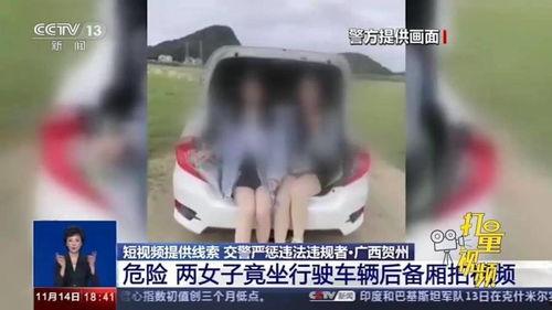 偷瓜事件热门视频,一场网络热议的瓜田奇遇记