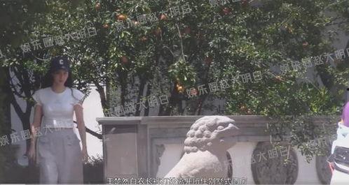 王楚然吃瓜爆料,娱乐圈幕后真相大揭秘