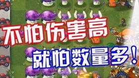 历史热门大瓜视屏,那些年我们错过的劲爆瞬间