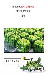 吃瓜网今日,今日热门事件深度剖析