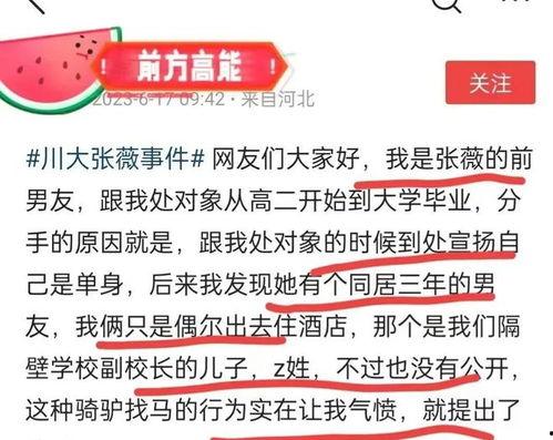 瓜条标题热门文案,网络爆款背后的秘密