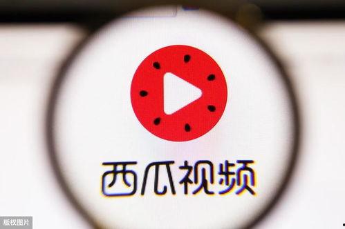瓜沥热门短视频,揭秘瓜沥魅力瞬间