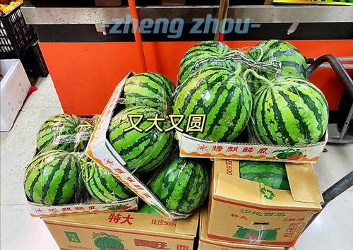 今日郑州瓜价,夏日炎炎，瓜果飘香价格几何？