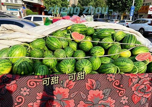今日郑州瓜价,夏日炎炎，瓜果飘香价格几何？