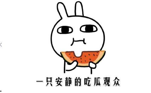 抖音今年热门瓜,揭秘网红圈层风云变幻