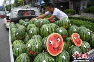 今日5个瓜,娱乐圈风云再起，揭秘幕后真相！”