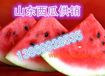 礼品瓜今日行情,今日价格走势一览