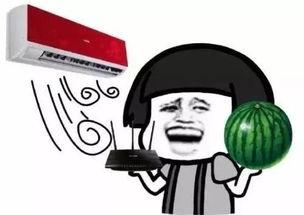 热门大瓜朝阳群众,热门大瓜背后的真相与内幕