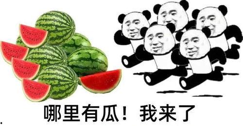 热门大瓜朝阳群众,热门大瓜背后的真相与内幕