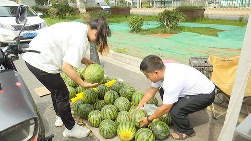 曹县翰林府吃瓜事件黑料网,揭秘网络黑料背后的真相