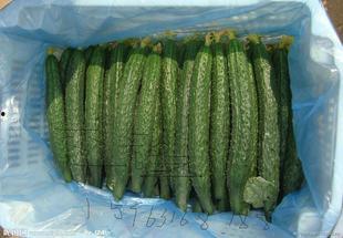 今日兰瓜价格,市场行情一览