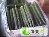 今日兰瓜价格,市场行情一览