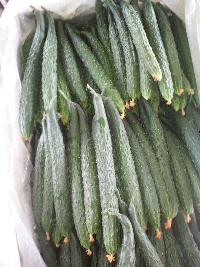 今日兰瓜价格,市场行情一览