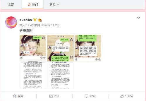 吃瓜新闻爆料视频下载,视频下载背后的真相大揭秘