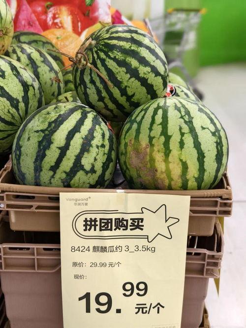 广州今日瓜价,夏日消暑佳品价格波动一览