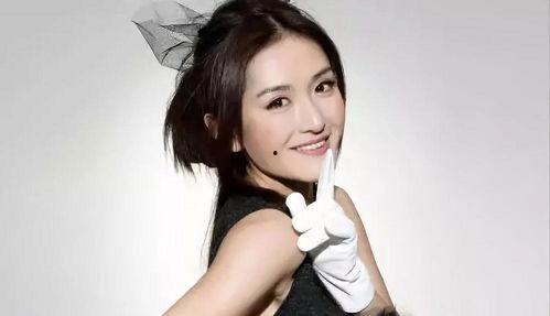 经常遇到明星网红,揭秘网络红人的崛起与影响力