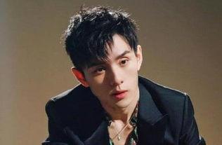 明星网红看刘墉,从明星网红视角看人生智慧与艺术魅力