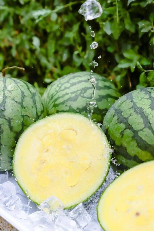 51cg.fun黑料吃瓜网,揭秘娱乐圈幕后真相