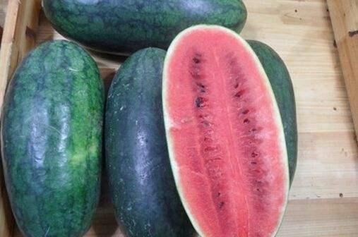 吃的黑西瓜子是什么瓜,探寻神秘黑瓜的传奇故事