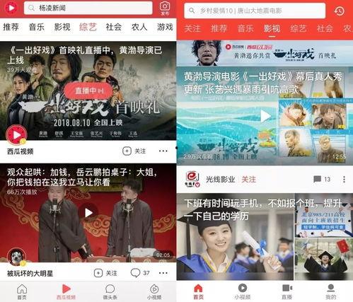 吃瓜独家重磅爆料视频,吃瓜爆料视频背后的惊人真相