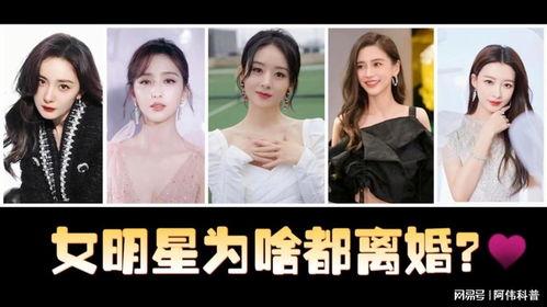 离异明星网红小说,离异明星的网红逆袭之路