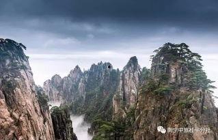 明星网红爬黄山