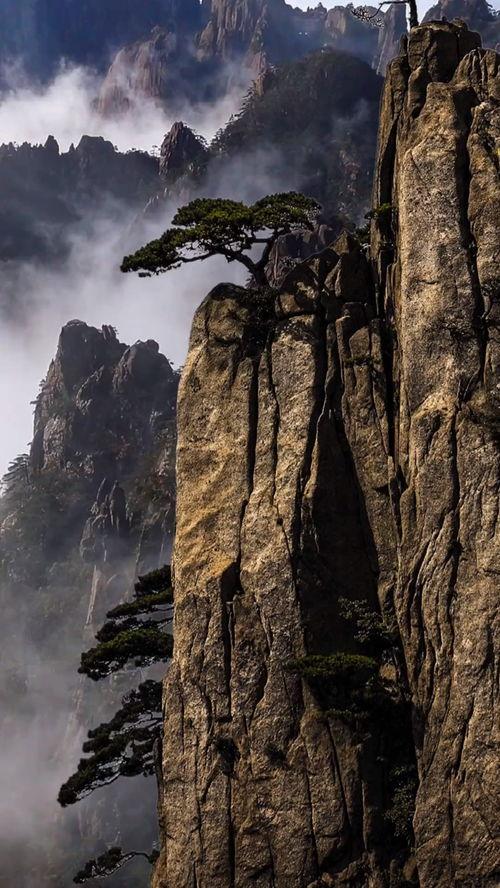 明星网红爬黄山